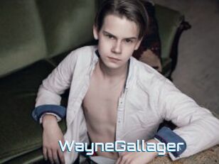 WayneGallager