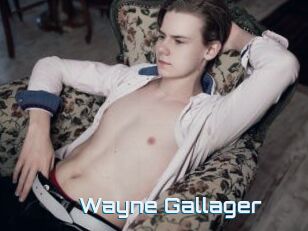 Wayne_Gallager