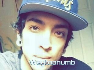 Waytoonumb