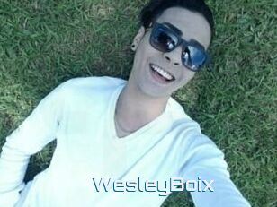 Wesley_Boix