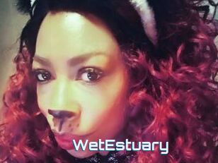 WetEstuary