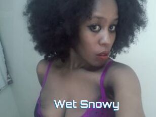 Wet_Snowy