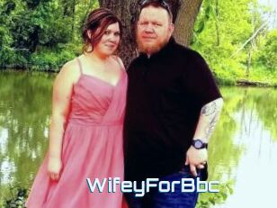 WifeyForBbc