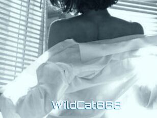 WildCat888