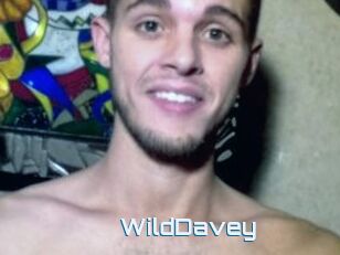 WildDavey