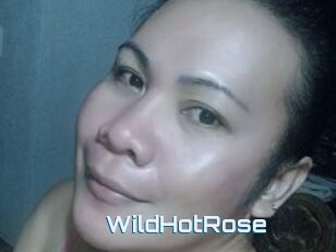 WildHotRose