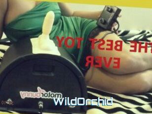 WildOrchid_