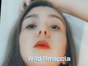 Wild_Amapola