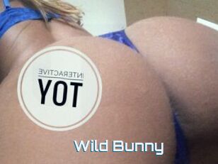 Wild_Bunny_