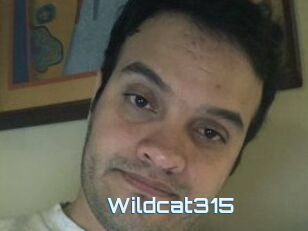 Wildcat315