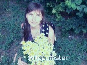 Wildcumster