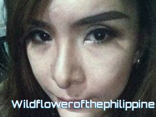 Wildflowerofthephilippines
