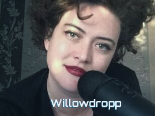Willowdropp