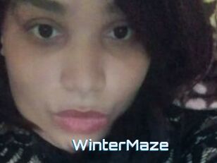 Winter_Maze