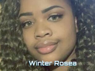 Winter_Rosea