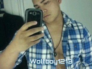 Wolfboy1213