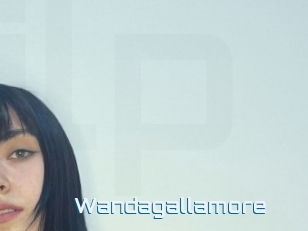 Wandagallamore
