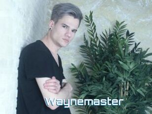 Waynemaster
