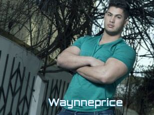 Waynneprice