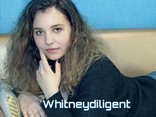 Whitneydiligent