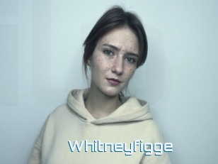 Whitneyfigge