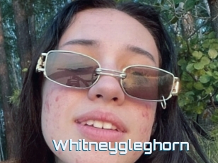 Whitneygleghorn