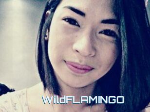 WildFLAMINGO
