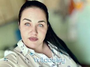 Wilddaisy