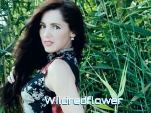 Wildredflower