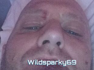 Wildsparky69