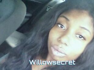 Willow_secret
