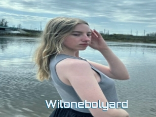 Wilonebolyard