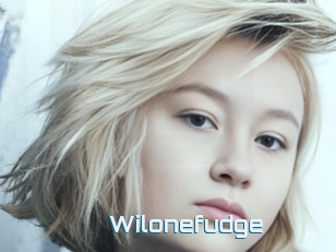 Wilonefudge