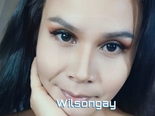 Wilsongay