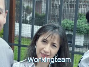 Workingteam