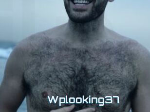 Wplooking37
