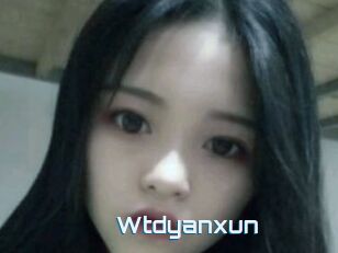 Wtdyanxun