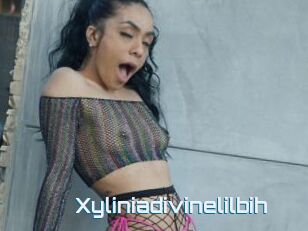 Xyliniadivinelilbih