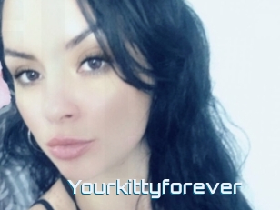 Yourkittyforever